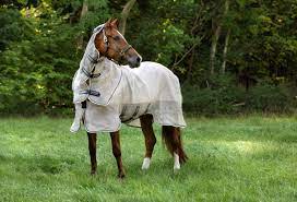 Rambo Protector Fly Sheet In 2021 Show Horses Horse Blankets Horse Fashion