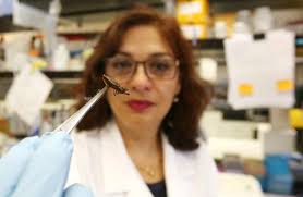 UTEP Scientists awarded patent for Chagas disease vaccine