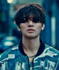 PASSARINHOS POP COREANOS Serinus canaria domesticus, das fotos, na  realidade é belga. Trata-se de uma espécie de canário Gloster. Costumamos  chamar de "canário" todos os pássaros domésticos pertencentes à espécie  Serinus canaria