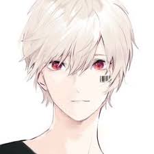 Not only are they one of our most favorite blonde anime guy characters with long hair. 10 Best Anime White Hair Boy Ideas Anime Anime White Hair Boy Anime Characters