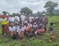 Investing In New Forests ? — How to prove trees have actually been planted. 