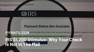 The irs uses this information to make those payments and those with. Irs Stimulus Why Your Check Is Not In The Mail Pymnts Com