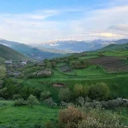 Gözəldərə - #Xancığaz - #İbrahimli, #Pəmbək mahalı © Bəxtiyar Aşıxlı  @irevanaz #irevanisazerbaijan