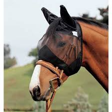 cashel quiet ride fly mask