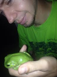 Green Tree Frog