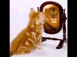 Click here to learn more about this powerful mirror technique. Program Your Mind For Success Part 4 The Mirror Technique Youtube