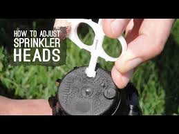 Rain Bird Maxi-Paw Impact Rotor Pop-Up Sprinklers With Sam, Non-Potable —  Big Frog Supply