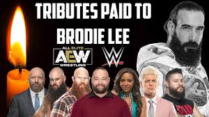 Check spelling or type a new query. Brodie Lee Luke Harper Tributes From Wwe Aew After Passing Bray Wyatt And Others Pay Respects Youtube