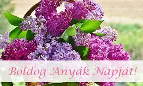 Boldog anyák napját kedves anyukák. Tudod Mikortol Unnepeljuk Az Anyak Napjat Malnarium Tobb Mint Fitnesz