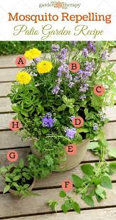 Mosquito Repellent Plants In A Pretty Diy Container Garden Plants Mosquito Repelling Plants Container Gardening