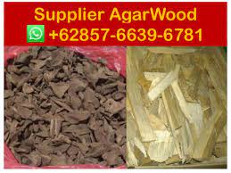 Produk gelang & tasbih kayu gaharu. Gaharu Indonesia Suppliers 62 857 6639 6781 Indonesia Gaharu K