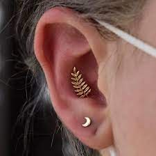Drift Piercing Studios 621 Virginia Dr Orlando Fl 2020 Piercing Piercing Studio Piercings