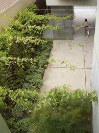 Get A Natural Roof Overhead By Creating A Vine Trellis With Wire Over An Existing Patio Or Deck Vine Trellis Garden Canopy Pergola Patio