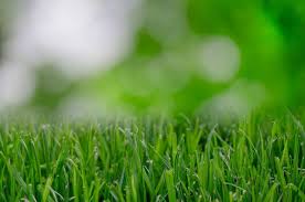 Check spelling or type a new query. Ultimate Guide On How To Install Artificial Grass On Concrete