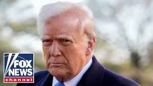 Sen. Bernie Moreno (R-OH) discusses legal backlash surrounding the Trump  administration's crackdown