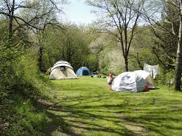 Uber Den Platz Naturcamping Vulkaneifel Eifel Camping Vulkan