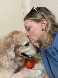 Lost golden retriever in Winnipeg area