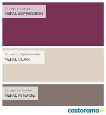 Castorama Nuancier Peinture Mon Harmonie Peinture Nepal Expression Satin De Dulux Valentine Couleurs Du Mond Nuancier Peinture Castorama Idee Peinture Maison