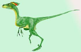 See how it lived in north america during the cretaceous period. Bambiraptor Dinosaur Facts Information Bambiraptor Feinbergi
