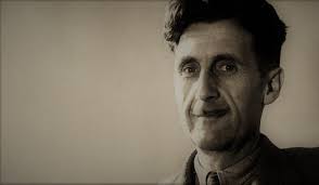 Five books a bookshop owner couldn't live without