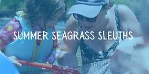 Summer Seagrass Sleuths