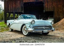 Image result for Velasquez Silver 1929 Buick