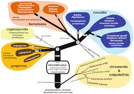 We have an exciting opportunity available for you as a pest management professional at our high point, nc location. Https Ediss Sub Uni Hamburg De Bitstream Ediss 8847 1 Dissertation Pdf