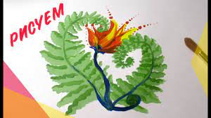 Предки придавали особое мистическое значение ночи на ивана купалы. Risunok Na Temu Prazdnika Ivan Kupala Kak Narisovat Cvetok Paporotnika Youtube