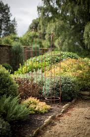 Pin By Lina Traikoudi On Ideas For My Home Plants Uk Plants Garden Shrubs