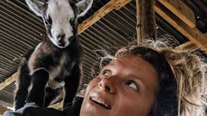 Kent farmer's Instagram success: Cutting hair to delivering lambs