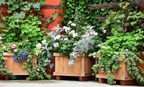 Untreated wood or cedar will work well for this project as they are both easy to work with and can hold up against the natural elements your planter will be exposed to. What Type Of Wood Is Best For Planter Boxes Taylor Made Planters