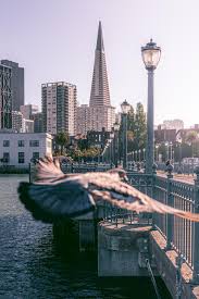 San Fran City Cities Buildings Photography In 2020 Architecture Jobs City View Historic Buildings