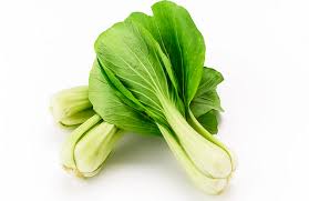 Kalau nak try resepi sayur pak choy stail. 4 Metode Menanam Bok Choy Paling Gampang Di Halaman Ladang Sendiri Sumber Plastik