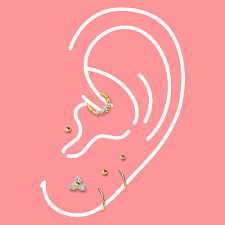 Second And Third Ear Lobe Piercings Essential Beauty