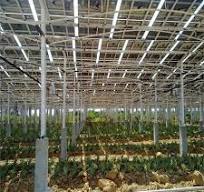 Customized Solar PV Farm Structures Suppliers, Factory ...
