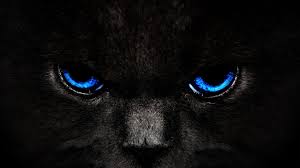 Black Jaguar Wallpaper 62 Pictures Desktop wallpaper porsche 911 gt2 rs porsche 911 porsche sports car racing fog hd for pc mac laptop tablet mobile phone. black jaguar wallpaper 62 pictures