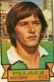 Cumple 76 años Héctor Pichi Pelaez.*** El 27 de enero de 1949 nace **Héctor  Peláez, el Pichi,** Crack de Ferro de todos los tiempos. En 1972 una lesión  le impidió seguir