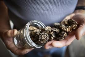 By this time, the drug's effects are starting to grow and you're slowly succumbing to it. Psychedelic Mushrooms Put Your Brain In A Waking Dream Study Finds The Washington Post