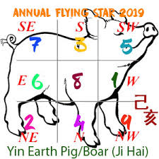 2019 Flying Star Xuan Kong