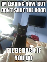 Im leaving now, but don't shut the door I'll be back if you do - overly  attached cat - quickmeme