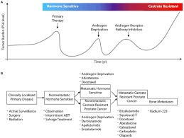 prostate cancer is the most common cancer among men in most african countries and can be effectively treated by radiotherapy. Frontiers Prostate Cancer Theranostics An Overview Oncology