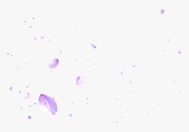 Sakura leaves falling gif transparent / pin on kawaii : Transparent Cherry Blossom Png Cherry Blossoms Falling Png Png Download Transparent Png Image Pngitem