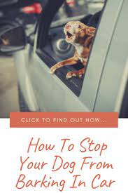 How To Stop Your Dog From Barking In Car Online Dog Training Dogs Your Dog