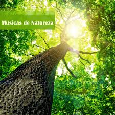+ som da chuva natural, cachoeira, selvas noite + som natural de correntes de água + concentração + absolutamente relaxante! Musicas Da Natureza Musicas Relaxantes Para Dormir Com Som De Passaros Sons Da Chuva E De Agua Album By Natureza Spotify