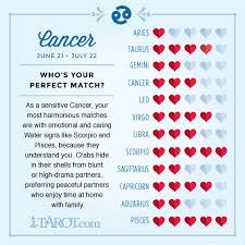 discover the best and worst love matches for your zodiac