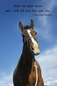 Show Me Your Horse And I Will Tell You Who You Are English Saying Horse Riding Quotes Inspirational Horse Quotes Funny Horses