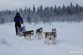 Consultez nos meilleures offres de vacances sur expedia.fr. Quand Partir En Finlande Climat Meteo Cout De La Vie