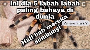 Manisnya ada pada awak 🥰 chinggggg. Kenapa Air Laut Masin Ini Jawapannya Youtube