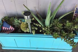 The csssj is a diverse group of people with a mutual interest in and fascination for cacti and other succulent plants. Spotted At Valentina S Tex Mex Bbq In Sacxs San Antonio Cactus And Xerophyte Society Facebook
