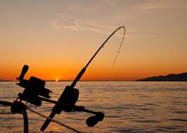 This is a very silly mod that replaces the screen animations when bowling to cumshots, there are about 20 some short clips. Best 100 Fishing Pictures Download Free Images On Unsplash